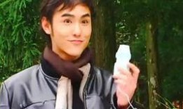 绿光森林在线观看,在线观看，探寻神秘森林的奇幻之旅